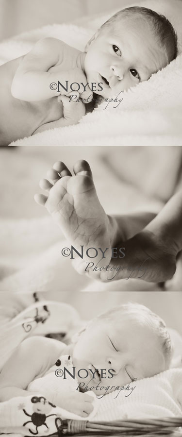 Triptych Baby Landon Blog